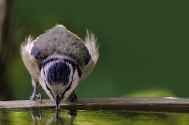 【2025年最新】抗菌バスタオルの選び方完全ガイド！竹繊維の驚きの効果と人気素材を徹底比較