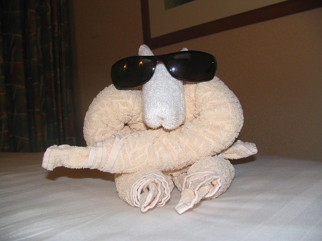 towel