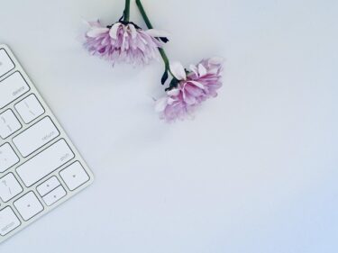 blogging