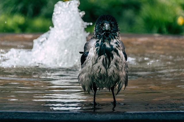 bath