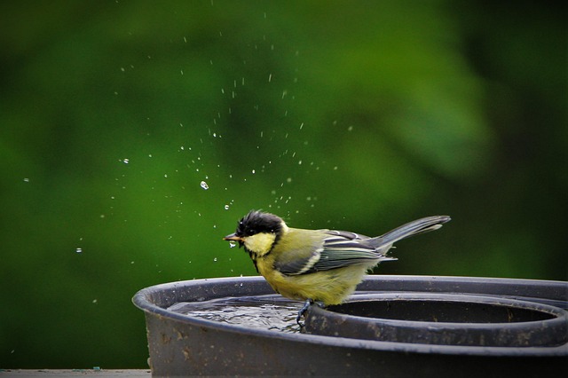 bath