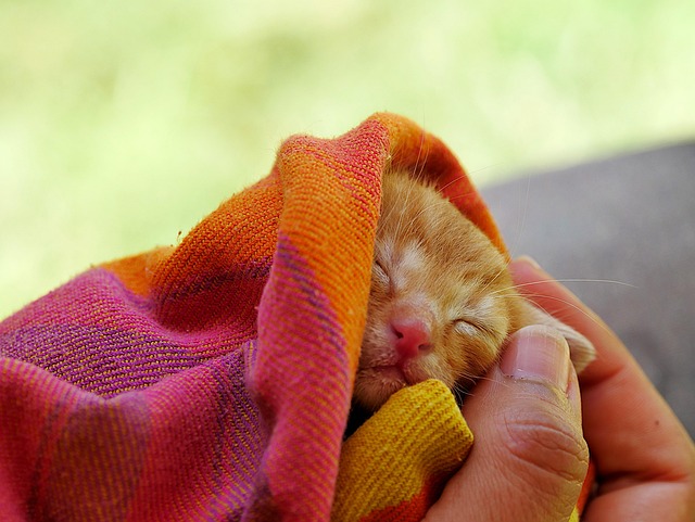 towels