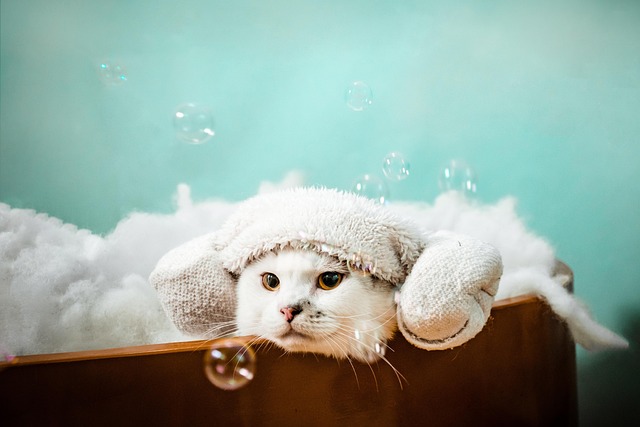 spa